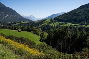 a green field with a bench on a hill with mountains at Apartment Jerzens 1 in Jerzens