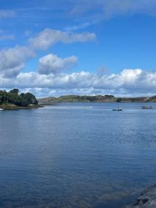 a large body of water with boats in it at Connemara sea side house, dog paradise! in Leagaun +11 photos