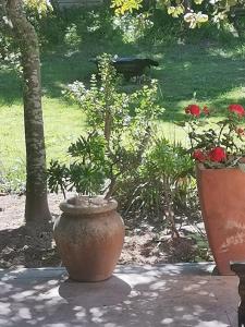 a large vase with a plant in it in a garden at Pennywhistle in Eersterivier