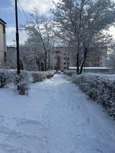 a snow covered street with trees and buildings at TwinNest Petrila in Petrila