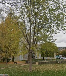a tree in a park with leaves on the ground at Jacuzzi Privé & Cinéma - Suite Romantique in Essey-lès-Nancy