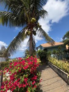 a palm tree and flowers in front of a house at Oby Noronha in Fernando de Noronha
