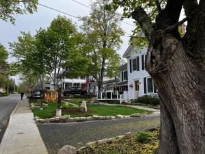 a residential street with houses and a tree at Queen Anne's Revenge in Bar Harbor +15 photos