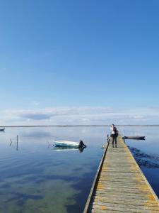 a man standing on a dock with a boat on the water at TheGilgahouse Fjordroom in Nakskov +6 photos