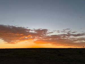 a sunset in the middle of a field at Rietfontein 1888 in De Aar
