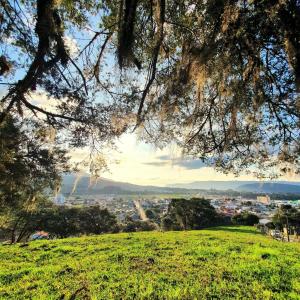 a view of a city from a hill with trees at Casa Completa | 2 Suítes + Jardim com Fogo de Chão in Urubici
