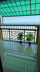 two plants sitting on top of a glass floor at PD Grand SEAVIEW in Port Dickson +34 photos