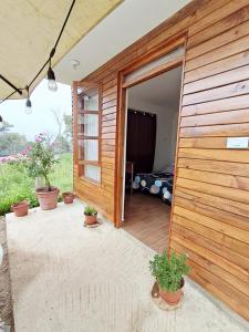 an open door to a room with potted plants at Cabaña BellaVista in Oxapampa