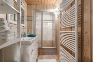 a bathroom with a shower and a sink and a shower at Landhaus Sofie in Kreischa +27 photos