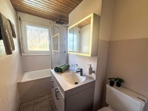 a bathroom with a sink and a toilet and a mirror at Apartment Platten by Interhome in Gersau +9 photos