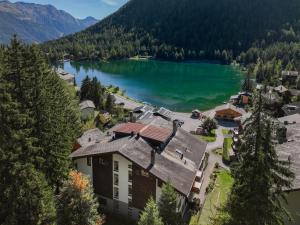 an aerial view of a house next to a lake at Apartment Parc C013 by Interhome in Champex