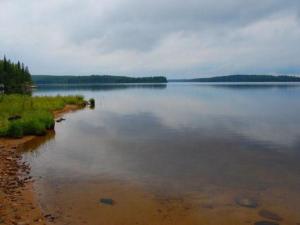 a large body of water with trees on the shore at Holiday Home Rantapuro by Interhome in Joutsenniemi +59 photos