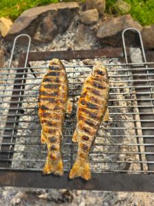 two fish are cooking on a grill at Utopia Dom przy winnicy in Nowica