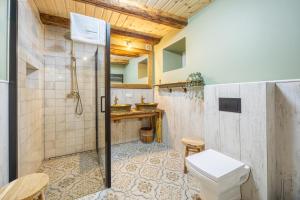 a bathroom with a shower and a toilet at Dom Szklarski Kamień in Szklarska Poręba +63 photos