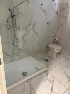 a bathroom with a shower and a toilet at Agriturismo il Casale in Ponte Galeria