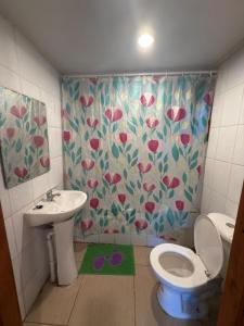 a bathroom with a toilet and a sink at Cabañas en Pucón CASA TUWA in Pucón