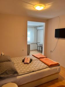 a bedroom with a bed with a flat screen tv on the wall at Vila Dunjić Prolom Banja in Prolomska Banja +21 photos
