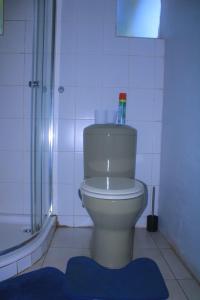 a bathroom with a toilet and a blue rug at Fargon Guest House in Polokwane +17 photos