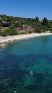 a person swimming in the water near a beach at OLYN VILLAS in Nikiti