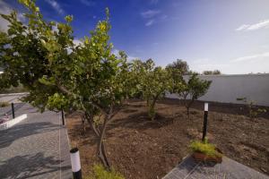 Giardino di Home Scala dei Turchi B&B