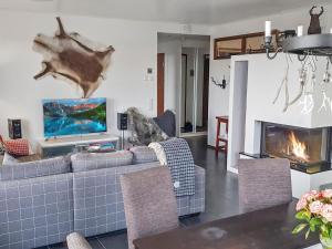 a living room with a couch and a fireplace at Holiday Home Villa ylläs 203 by Interhome in Ylläs