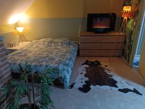 a bedroom with a bed and a dresser and a tv at Bienvenue in Saint-Pierre-de-Plesguen
