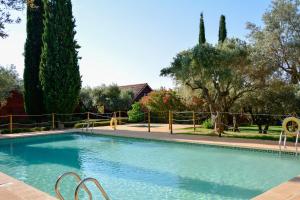 a swimming pool in a yard with trees at Camping Alquézar in Alquézar