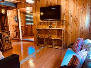 a living room with a tv on a wooden wall at Cabañas Tierra Fertil in Montaña