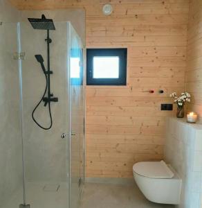 a bathroom with a toilet and a glass shower at Domki Lubikowo in Przytoczna 
