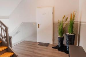 a hallway with two vases with plants in it at Fewos4seasons in Kurort Oberwiesenthal +79 photos
