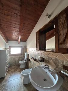 a bathroom with a sink and a toilet and a mirror at Bed and Breakfast Bellavista in Olmedo