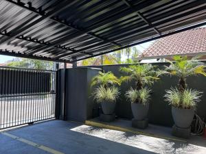 a patio with four potted plants on a wall at BORA BORA Hospedagens in Joinville