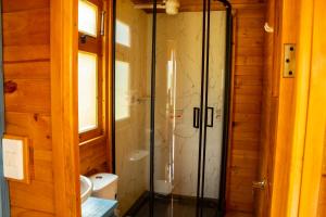 a bathroom with a shower and a toilet at Cabañas Tierra Noble in Nobsa +14 photos
