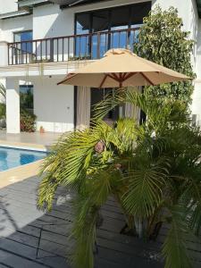 a patio with an umbrella and palm trees next to a pool at Lulu Diani in Diani Beach