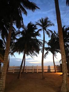 a fence with palm trees in front of the ocean at CocoBaru - Private Beachfront Entire Villa in Marawila