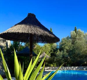 a straw umbrella sitting next to a swimming pool at Logis Hotel Restaurant L'Esquielle in Saint-Géniès-de-Malgoirès
