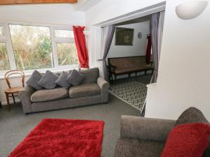 a living room with a couch and a red rug at Maesgwyn in Cardigan