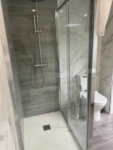 a shower with a glass door in a bathroom at Ponte Romana in Chaves +11 photos