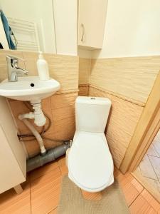 a bathroom with a toilet and a sink at 1 Camera Dubla Valea Trandafirilor in Chişinău