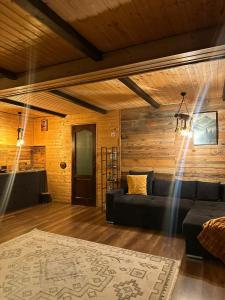 a living room with a black couch and wooden walls at Cabanuta din munti in Moieciu de Jos