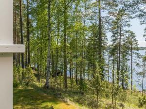 a view of a lake through the trees at Holiday Home Rantalinna 2 by Interhome in Ruokolahti