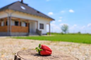 a strawberry sitting on top of a wooden stump at Casa Teodor in Mărgineni +34 photos