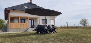 a group of chairs with an umbrella in front of a house at Casa Teodor in Mărgineni