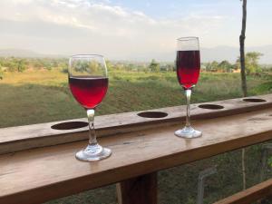 two glasses of red wine sitting on a wooden rail at SALEM Eco-Lodge & Guesthouse in Mbale