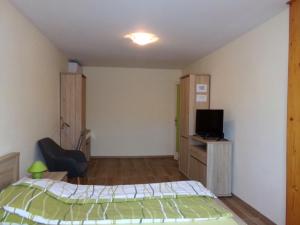 a bedroom with a bed and a tv in it at Hold-on apartman in Gyula