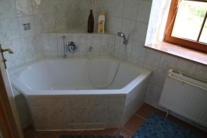 a bath tub in a bathroom with a window at Ferienwohnung am Stadtrand in Dresden