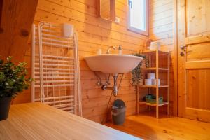 a bathroom with a sink in a wooden wall at Chalet Guapa in Bohinj +62 photos