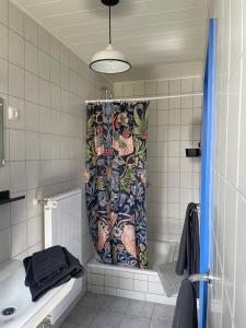 a bathroom with a tub and a shower curtain at Gastwerk Waldfrieden in Gießen