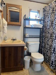 a bathroom with a toilet and a sink and a mirror at Smokey Mountain Overlook in Bryson City +29 photos