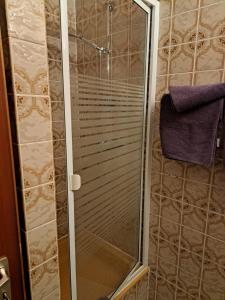 a shower with a glass door in a bathroom at Wasgauer Felsen und Seenland in Ludwigswinkel +12 photos